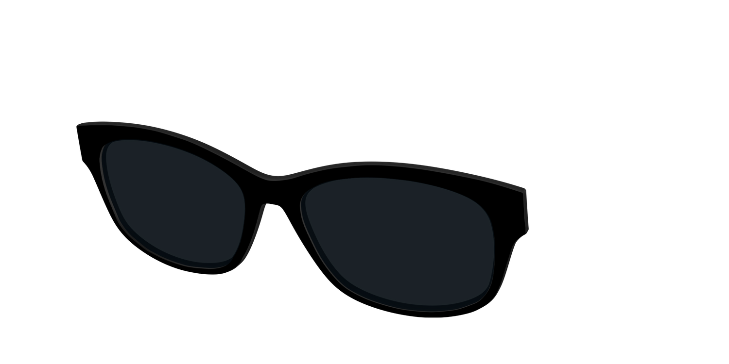 The Non-Polarized Black Sun Top - Angle Top Image - Pair Eyewear