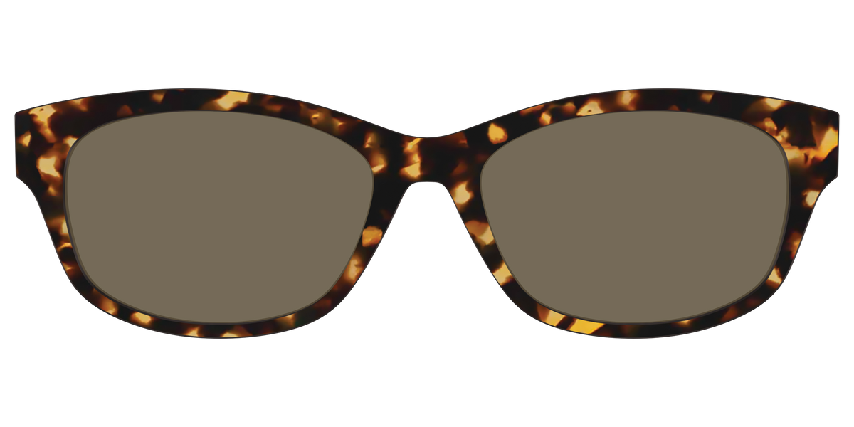 The Non-Polarized Tortoise Sun Top - Front Top Image - Pair Eyewear