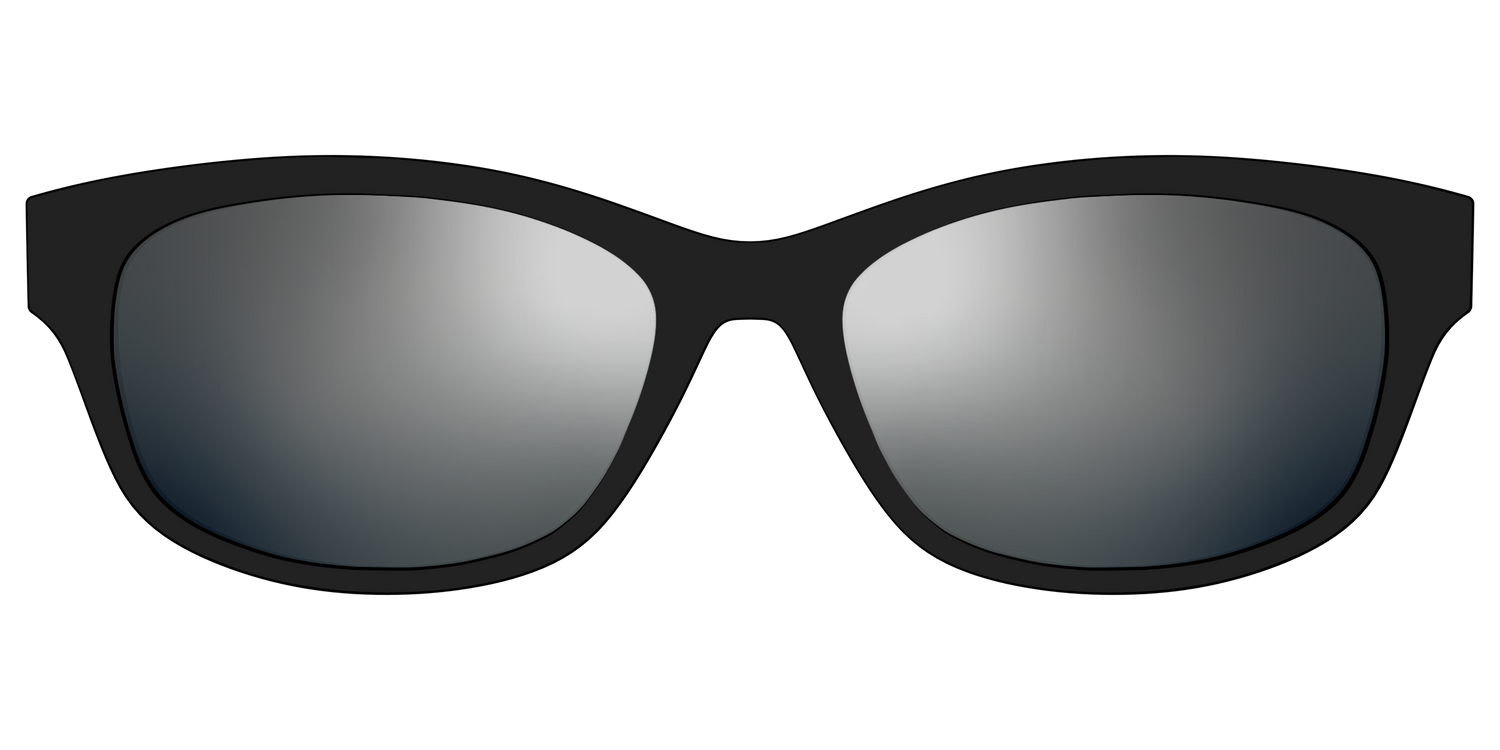 The Polarized Silver Reflective Sun Top - Front Top Image - Pair Eyewear