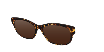 The Polarized Tortoise Sun Top - Angle Top Thumbnail - Pair Eyewear