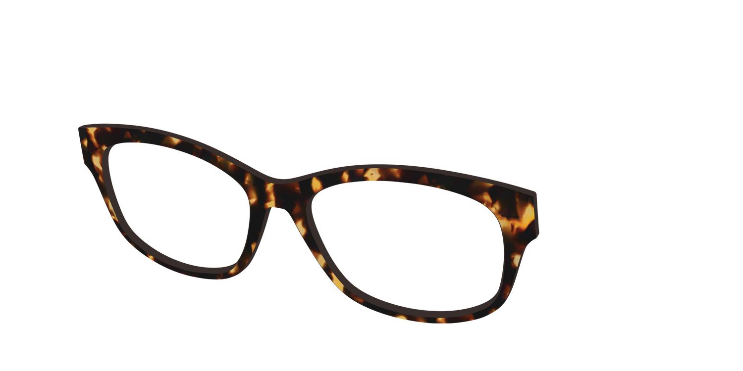The Tortoise - Angle Top Image - Pair Eyewear