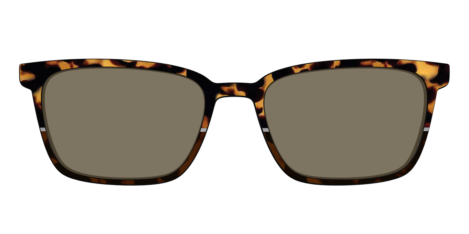 The Polarized Chic Tortoise Split Sun Top - Front Top Image - Pair Eyewear