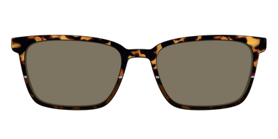 The Polarized Chic Tortoise Split Sun Top - Front Top Thumbnail - Pair Eyewear