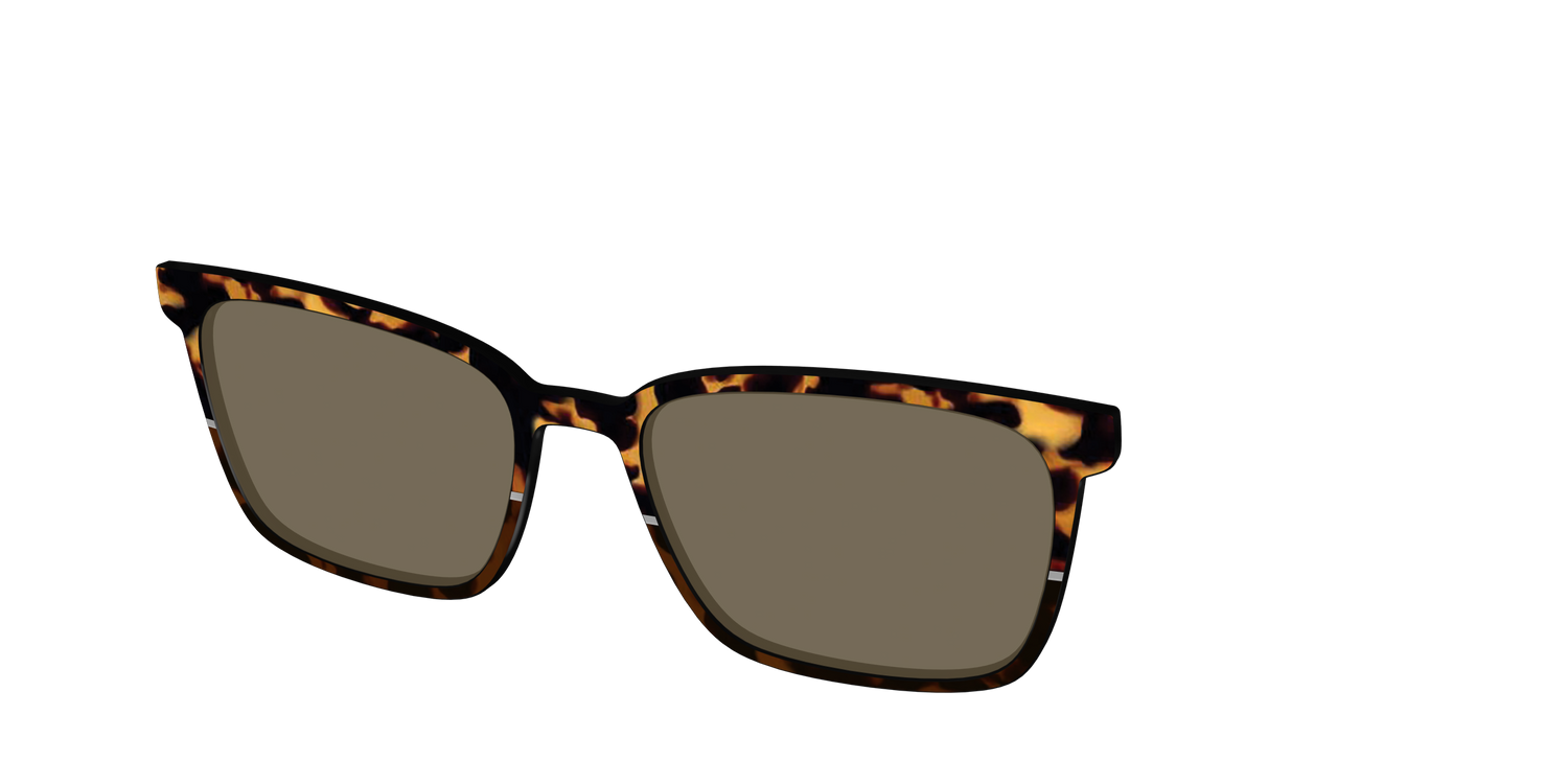 The Polarized Chic Tortoise Split Sun Top - Angle Top Image - Pair Eyewear