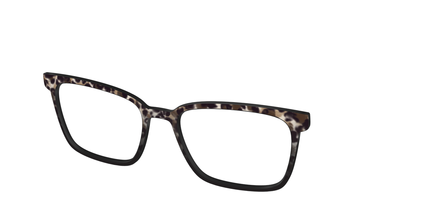 The Party Animal Tortoise - Angle Top Image - Pair Eyewear