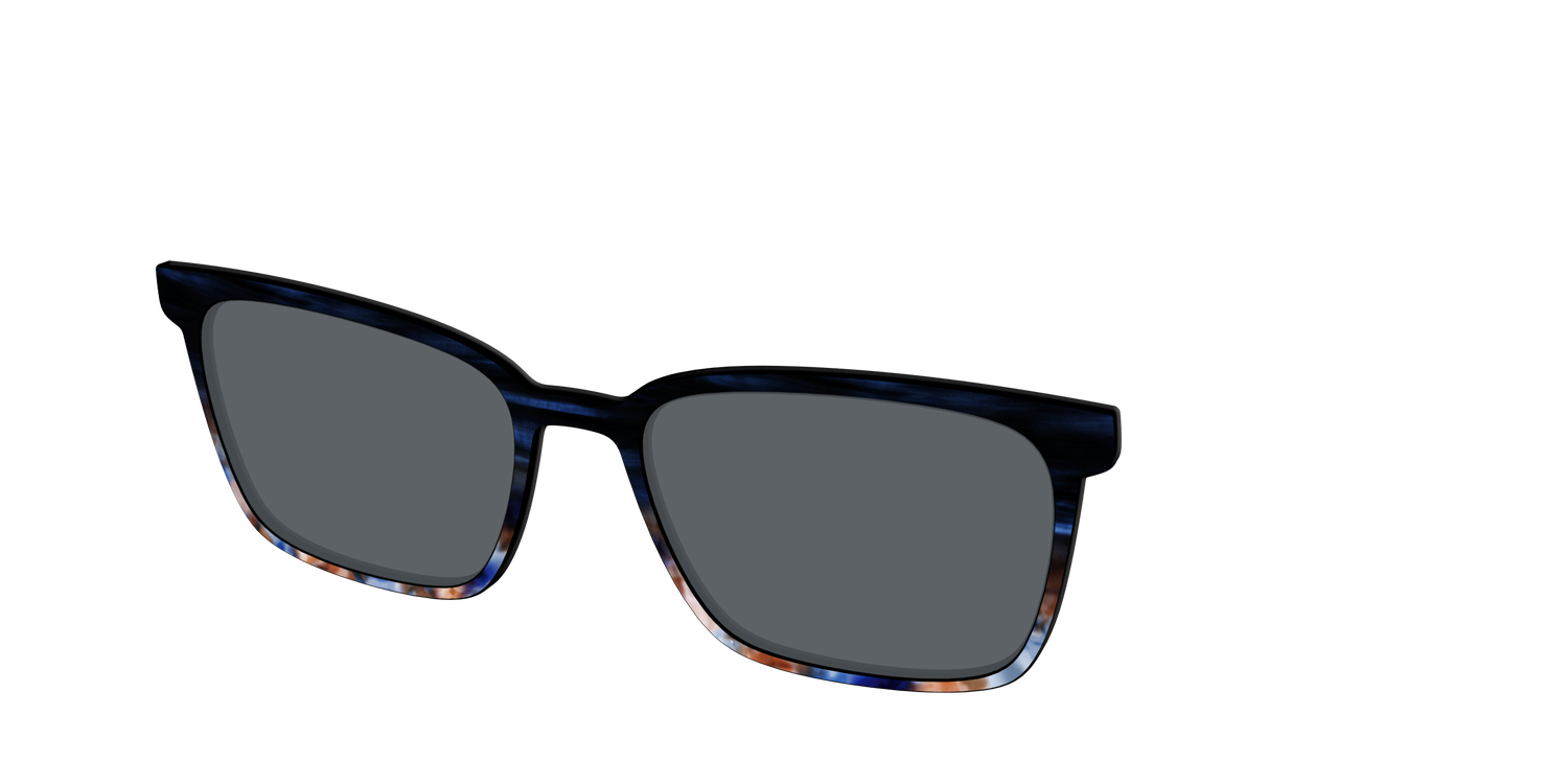 The Polarized Blue Horn Tortoise Sun Top - Angle Top Image - Pair Eyewear