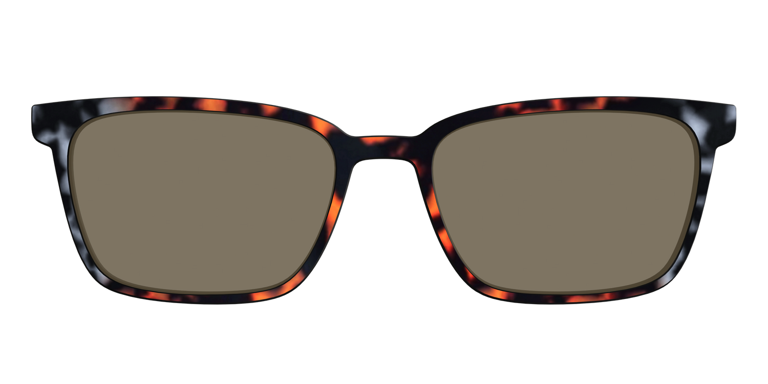 The Polarized Gray & Amber Tortoise Sun Top - Front Top Image - Pair Eyewear
