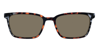 The Polarized Gray & Amber Tortoise Sun Top - Front Top Thumbnail - Pair Eyewear