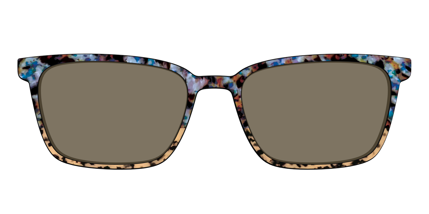 The Polarized Oasis Tortoise Split Sun Top - Front Top Image - Pair Eyewear