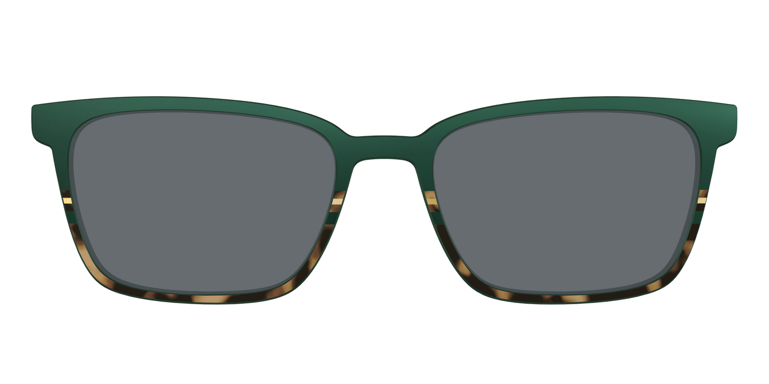 The Polarized Spruce Tortoise Sun Top - Front Top Image - Pair Eyewear