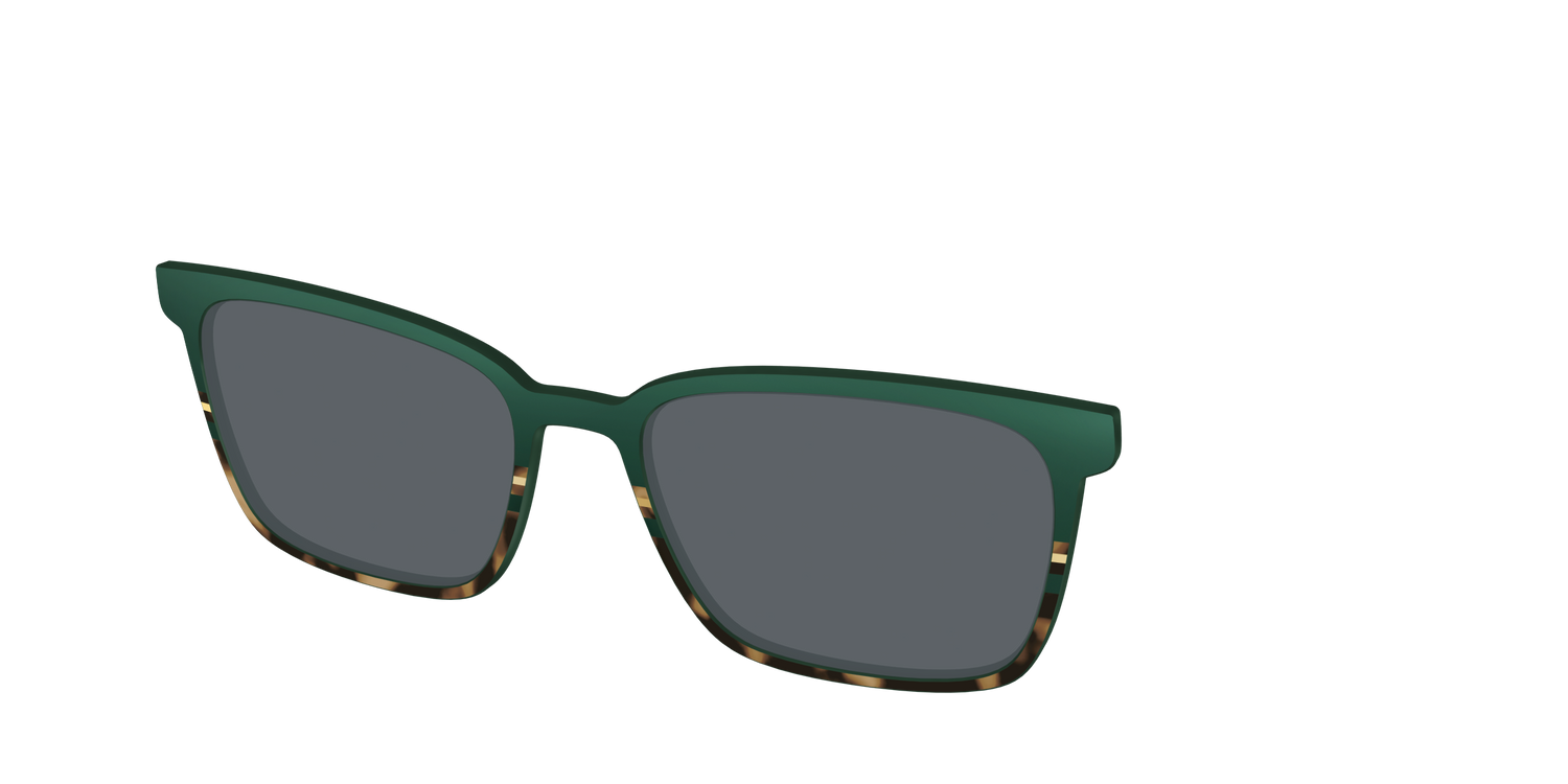 The Polarized Spruce Tortoise Sun Top - Angle Top Image - Pair Eyewear