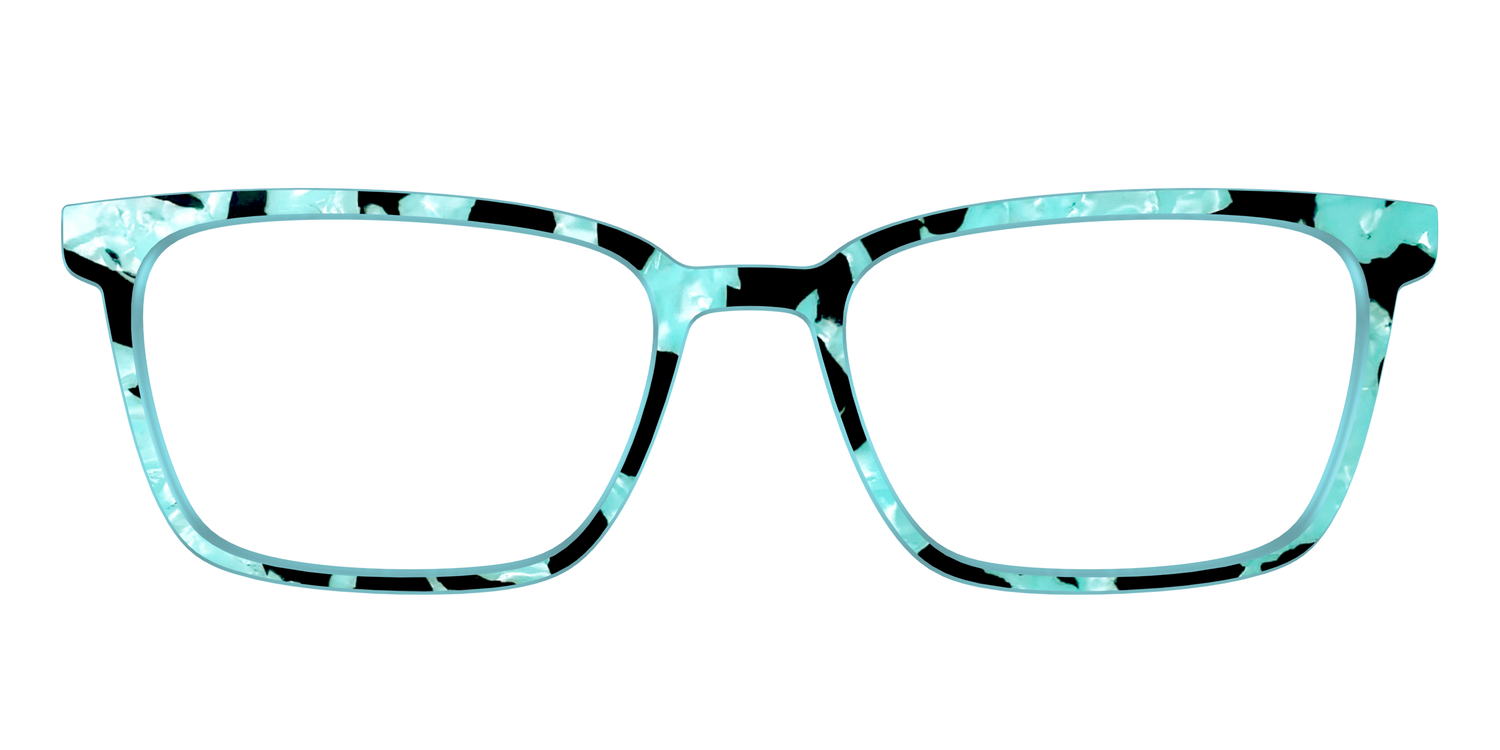 The Robin's Egg Pearl Tortoise - Front Top Image - Pair Eyewear