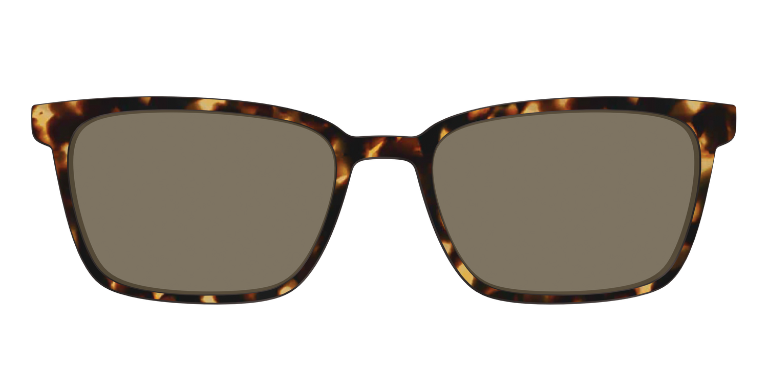 The Polarized Tortoise Sun Top - Front Top Image - Pair Eyewear