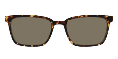 The Polarized Tortoise Sun Top - Front Top Thumbnail - Pair Eyewear