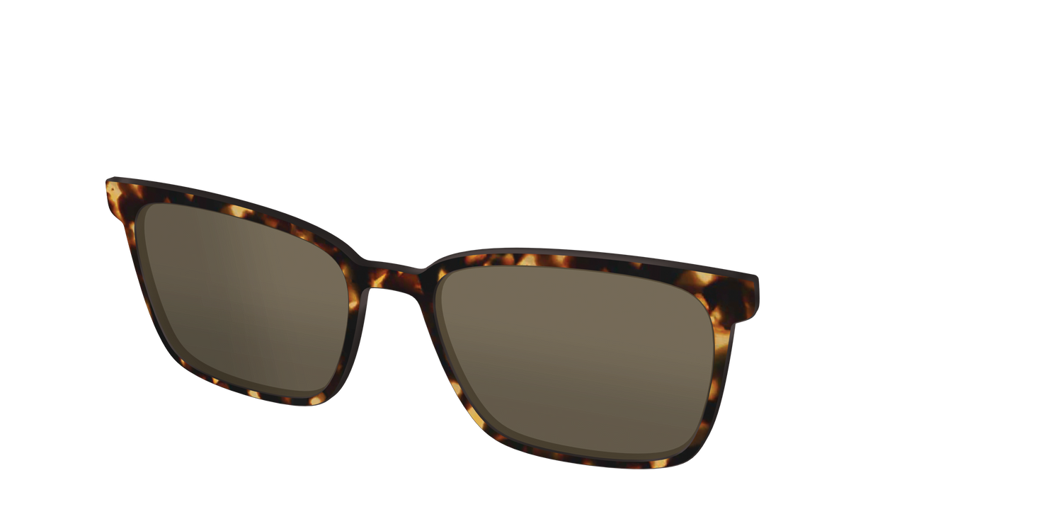 The Polarized Tortoise Sun Top - Angle Top Image - Pair Eyewear