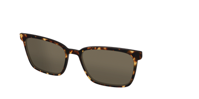 The Polarized Tortoise Sun Top - Angle Top Thumbnail - Pair Eyewear