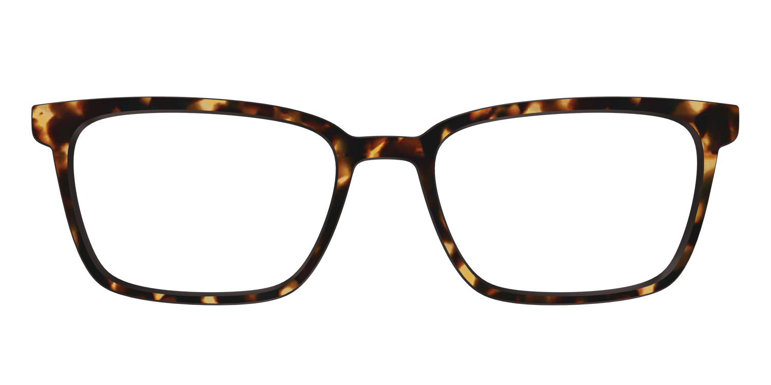The Tortoise - Front Top Image - Pair Eyewear