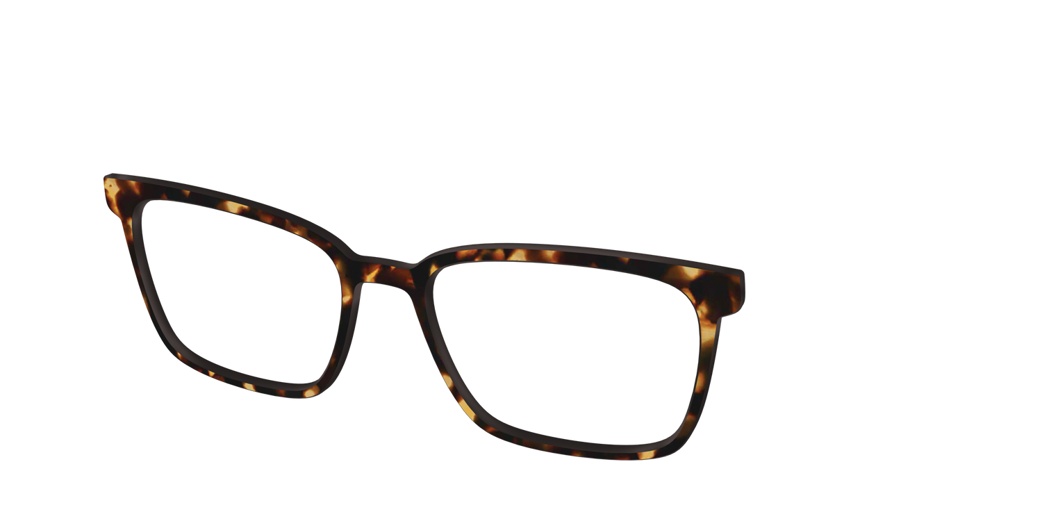 The Tortoise - Angle Top Image - Pair Eyewear