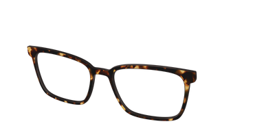 The Tortoise - Angle Top Thumbnail - Pair Eyewear