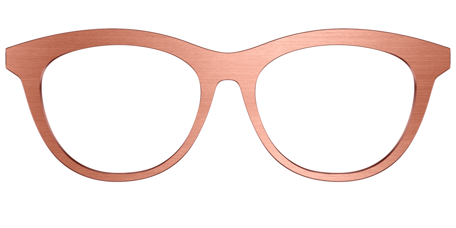 The Brushed Champagne - Front Top Image - Pair Eyewear