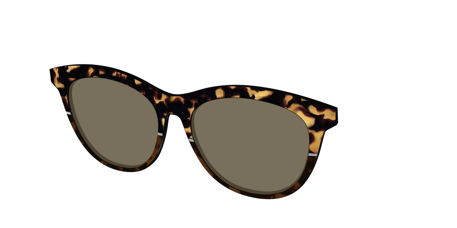 The Polarized Chic Tortoise Split Sun Top - Angle Top Image - Pair Eyewear