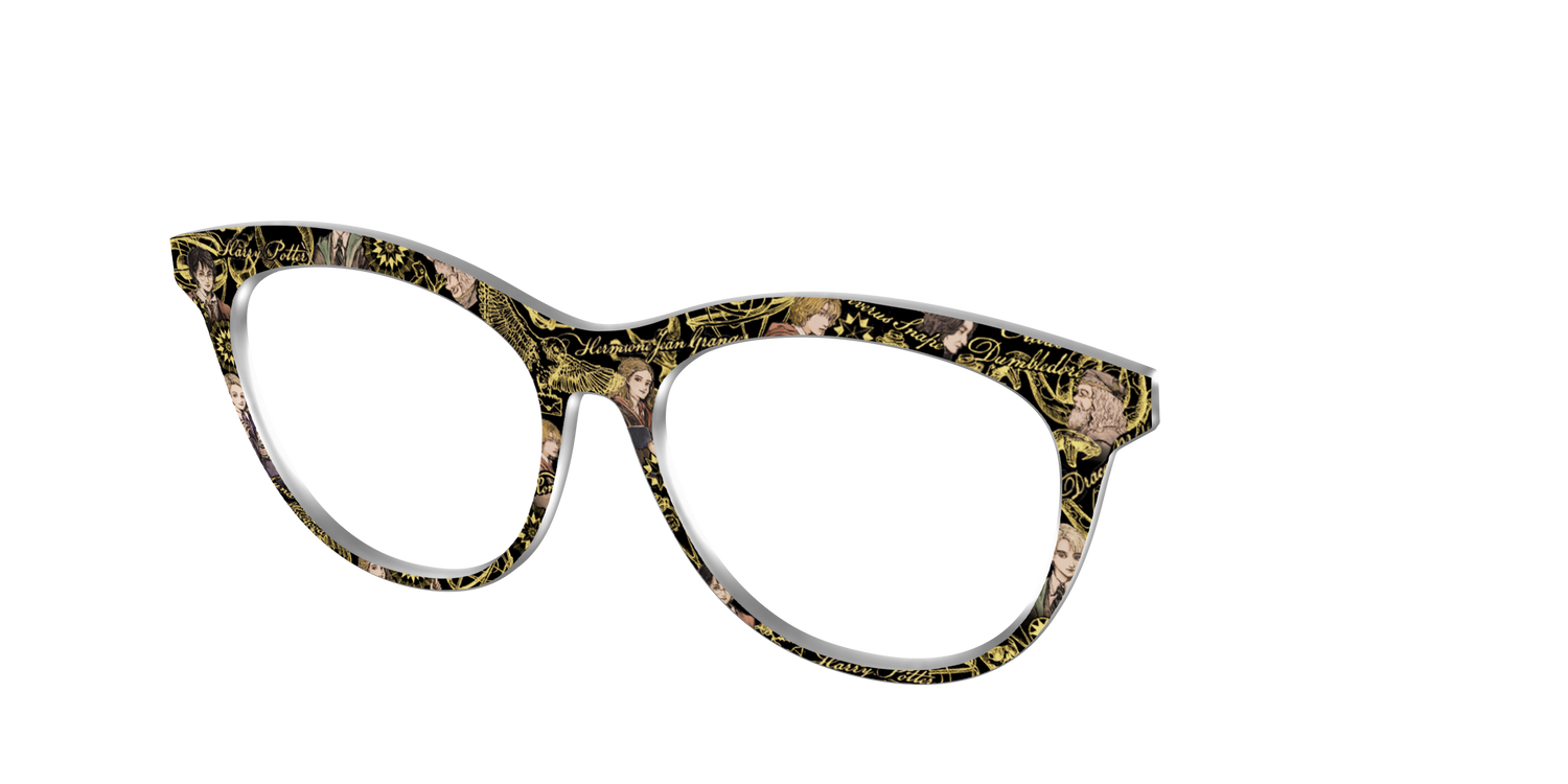 The Harry Potter Toile - Angle Top Image - Pair Eyewear