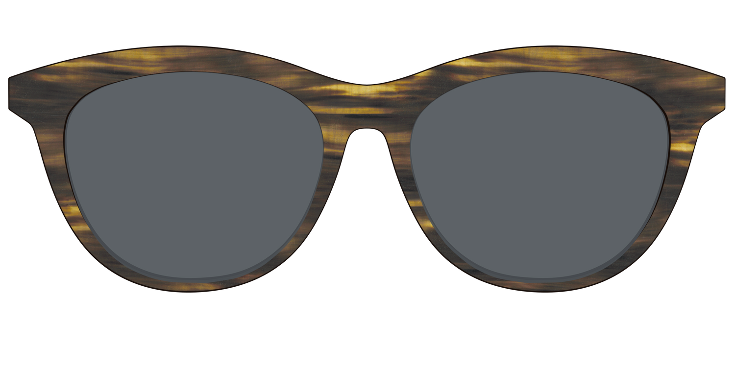 The Polarized Horn Sun Top - Front Top Image - Pair Eyewear