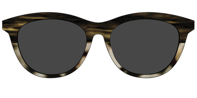 The Polarized Horn Tortoise Sun Top - Front Top Thumbnail - Pair Eyewear