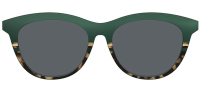 The Polarized Spruce Tortoise Sun Top - Front Top Thumbnail - Pair Eyewear