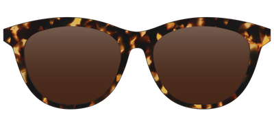 The Polarized Tortoise Sun Top - Front Top Thumbnail - Pair Eyewear