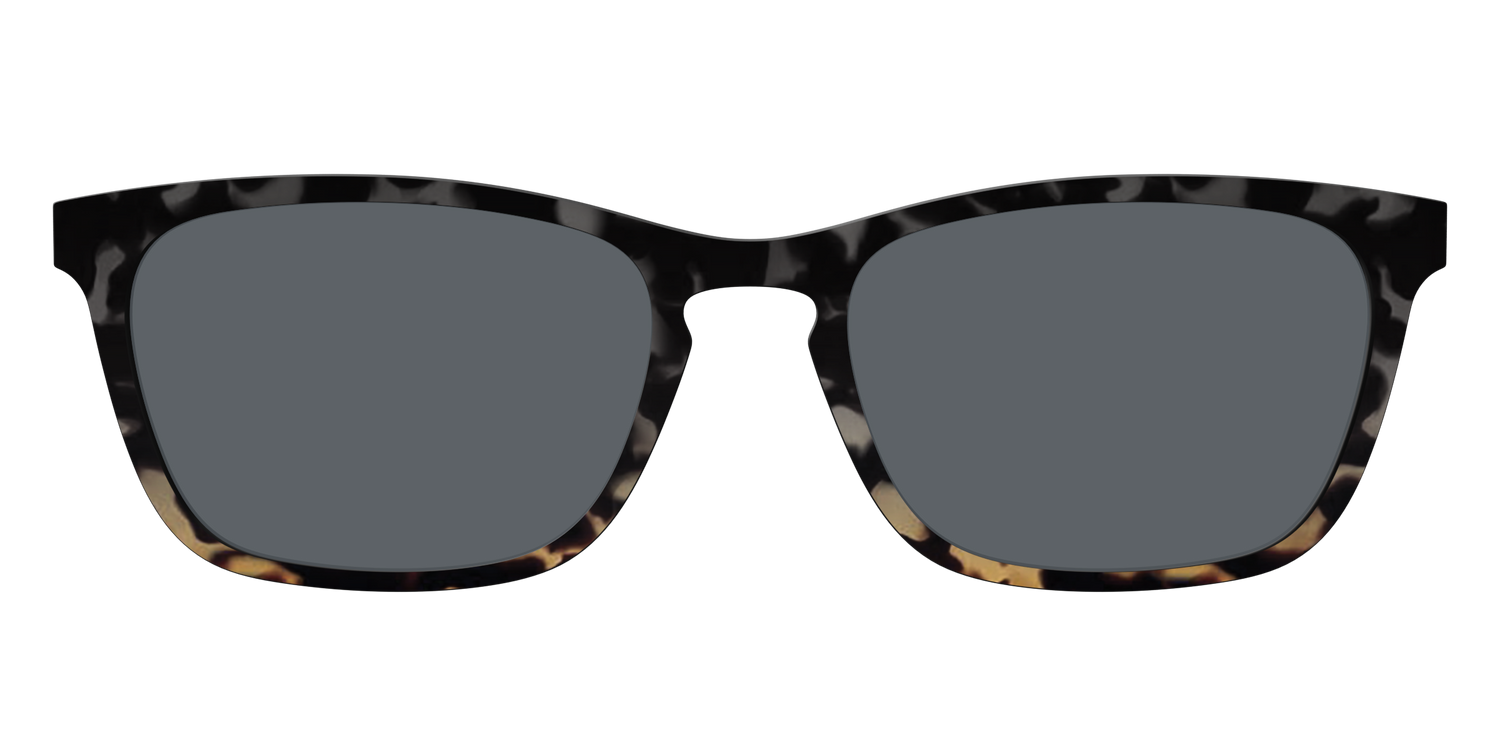 The Polarized Shadow Tortoise Sun Top - Front Top Image - Pair Eyewear