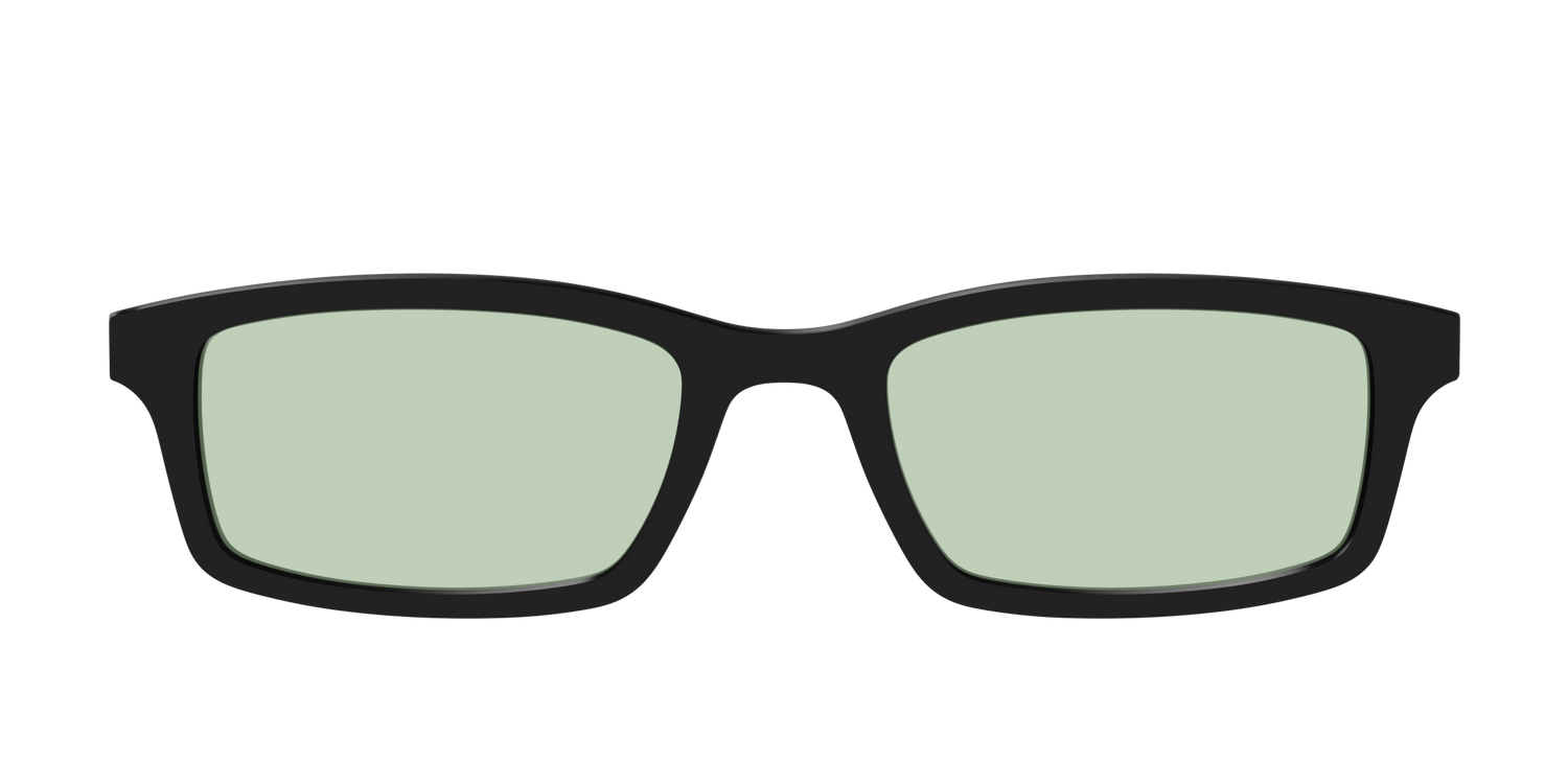 The Black With Sage Green Lens - Front Top Image - Pair Eyewear