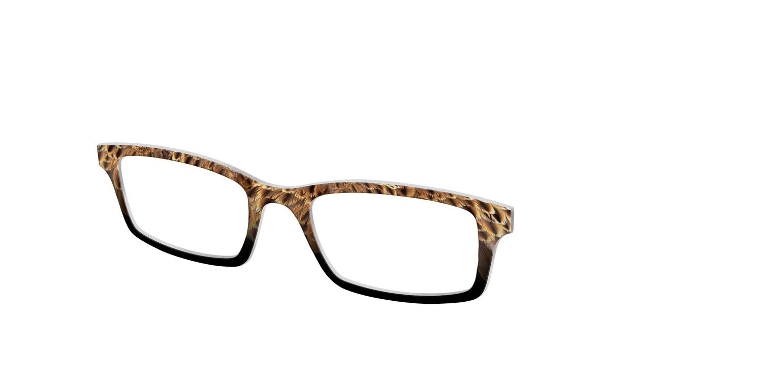 The Eagle Feathers - Angle Top Image - Pair Eyewear