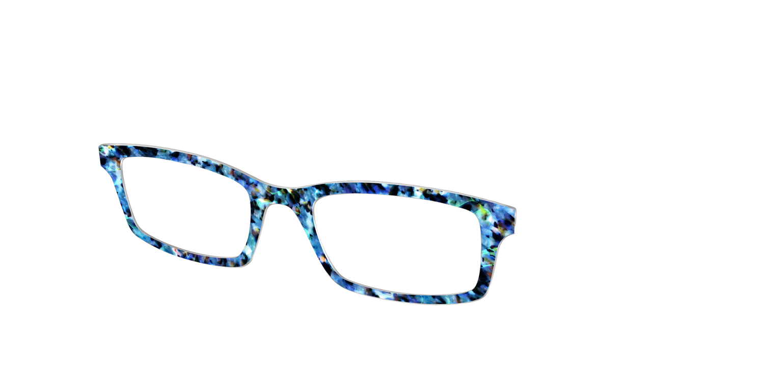 The Freshwater Tortoise - Angle Top Image - Pair Eyewear