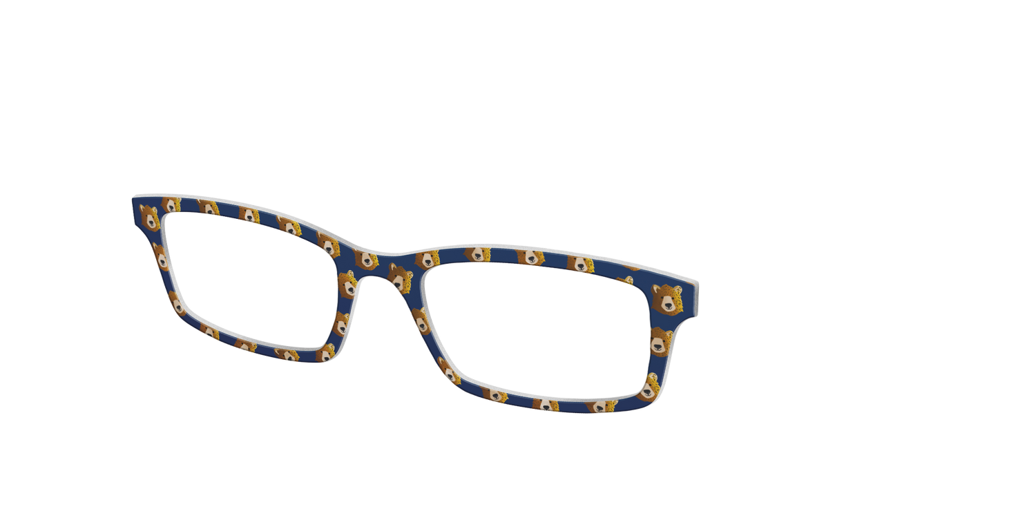 The Grizzly Bears - Angle Top Image - Pair Eyewear