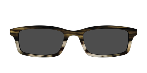 The Polarized Horn Tortoise Sun Top - Pair Eyewear