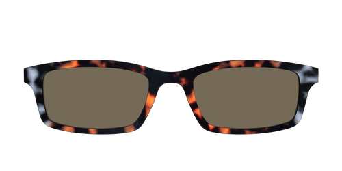 The Polarized Gray & Amber Tortoise Sun Top - Pair Eyewear