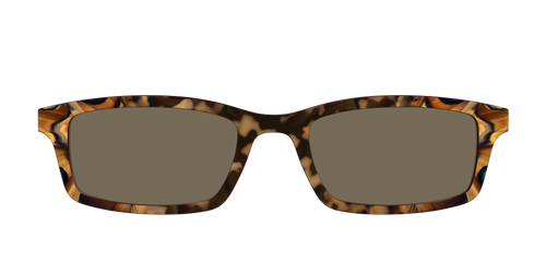 The Polarized Moth Wings Sun Top - Pair Eyewear