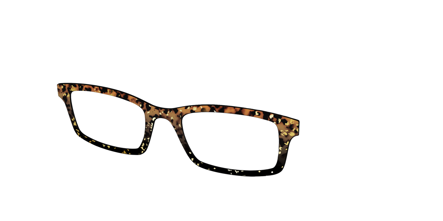 The Rustic Gold Leaf Tortoise - Angle Top Image - Pair Eyewear
