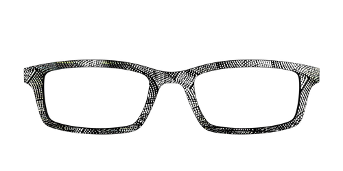 The Silver Iridescent Sound Waves - Pair Eyewear