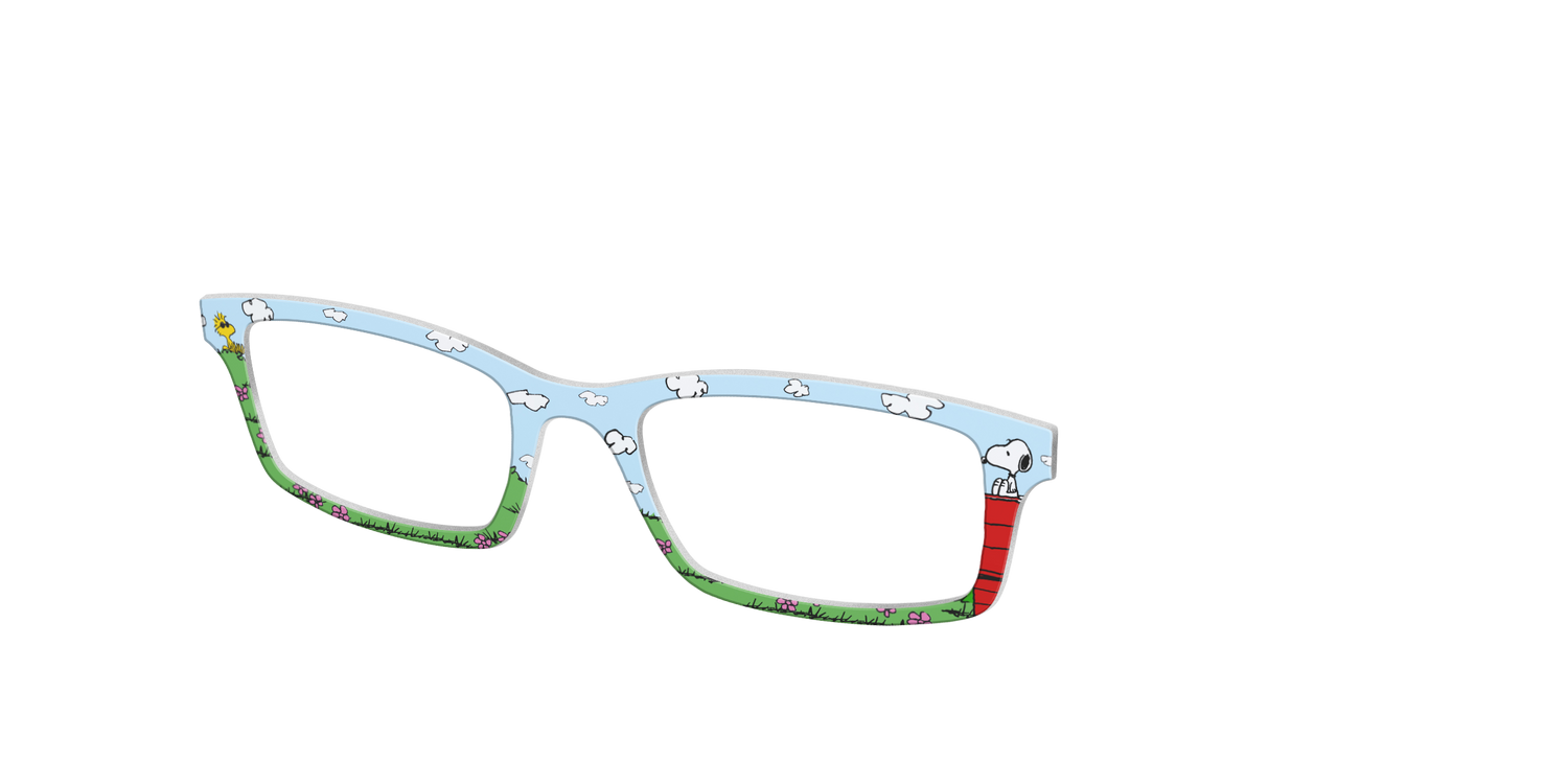The Snoopy Doghouse - Angle Top Image - Pair Eyewear