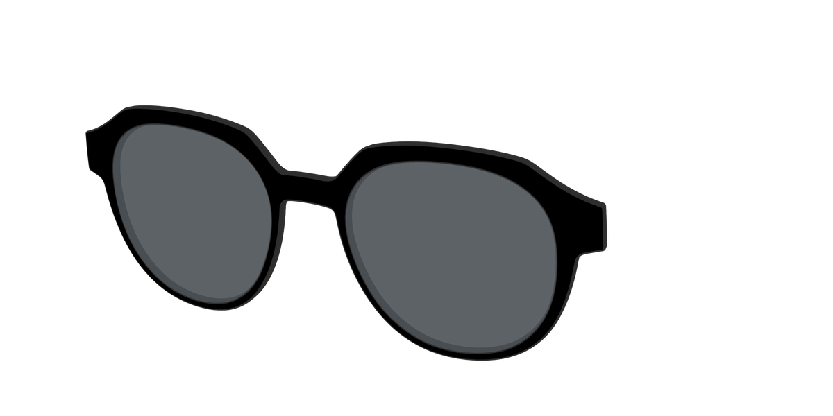 The Polarized Black Sun Top - Angle Top Image - Pair Eyewear