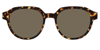 The Non-Polarized Tortoise Sun Top - Front Top Thumbnail - Pair Eyewear