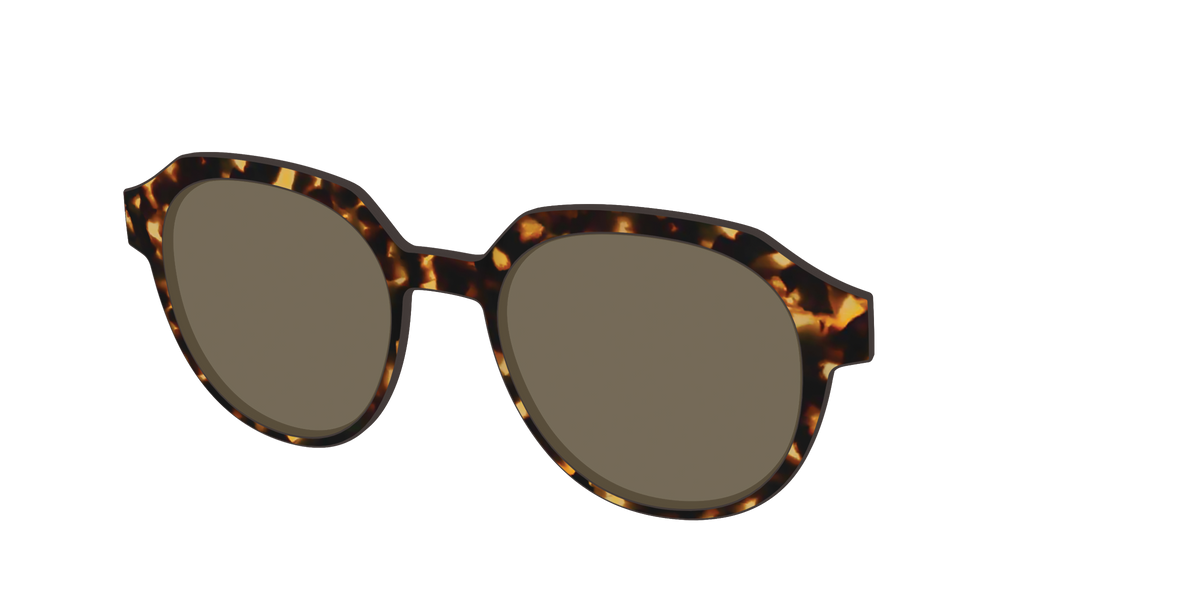 The Non-Polarized Tortoise Sun Top - Angle Top Image - Pair Eyewear