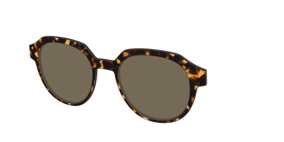 The Non-Polarized Tortoise Sun Top - Angle Top Thumbnail - Pair Eyewear