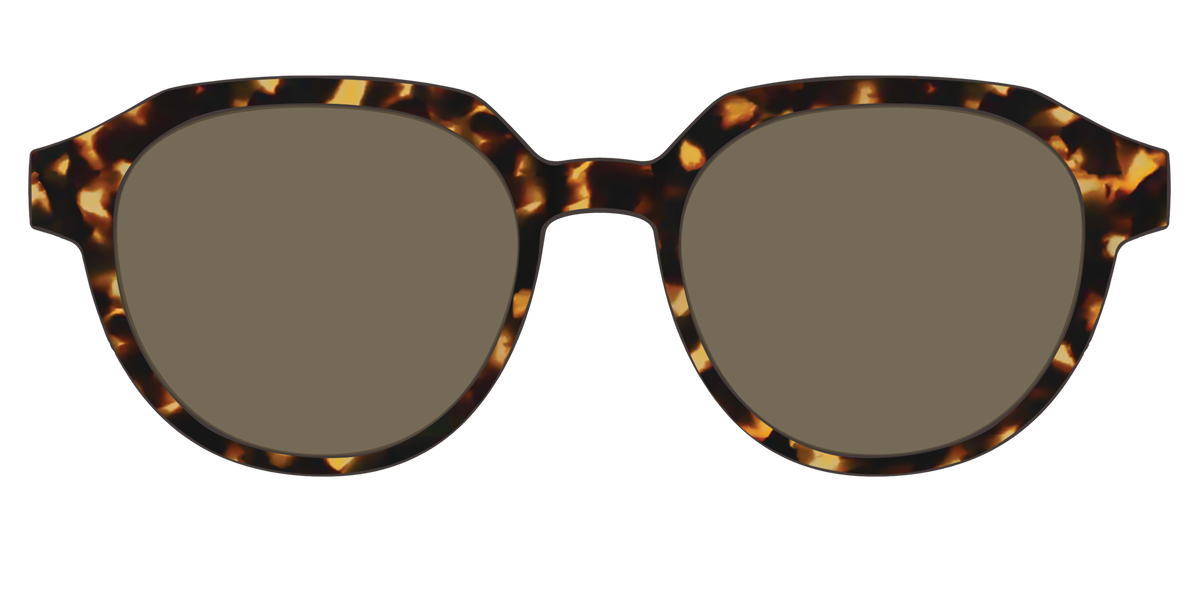 The Polarized Tortoise Sun Top - Front Top Image - Pair Eyewear