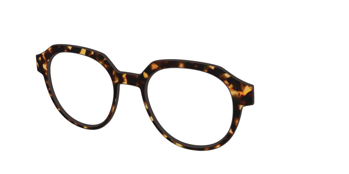 The Tortoise - Angle Top Image - Pair Eyewear