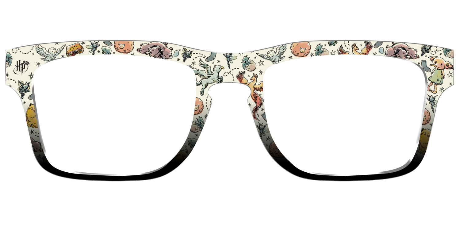 The Dobby & Friends - Front Top Image - Pair Eyewear