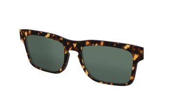 The Non-Polarized Green Tortoise Sun Top - Angle Top Thumbnail - Pair Eyewear