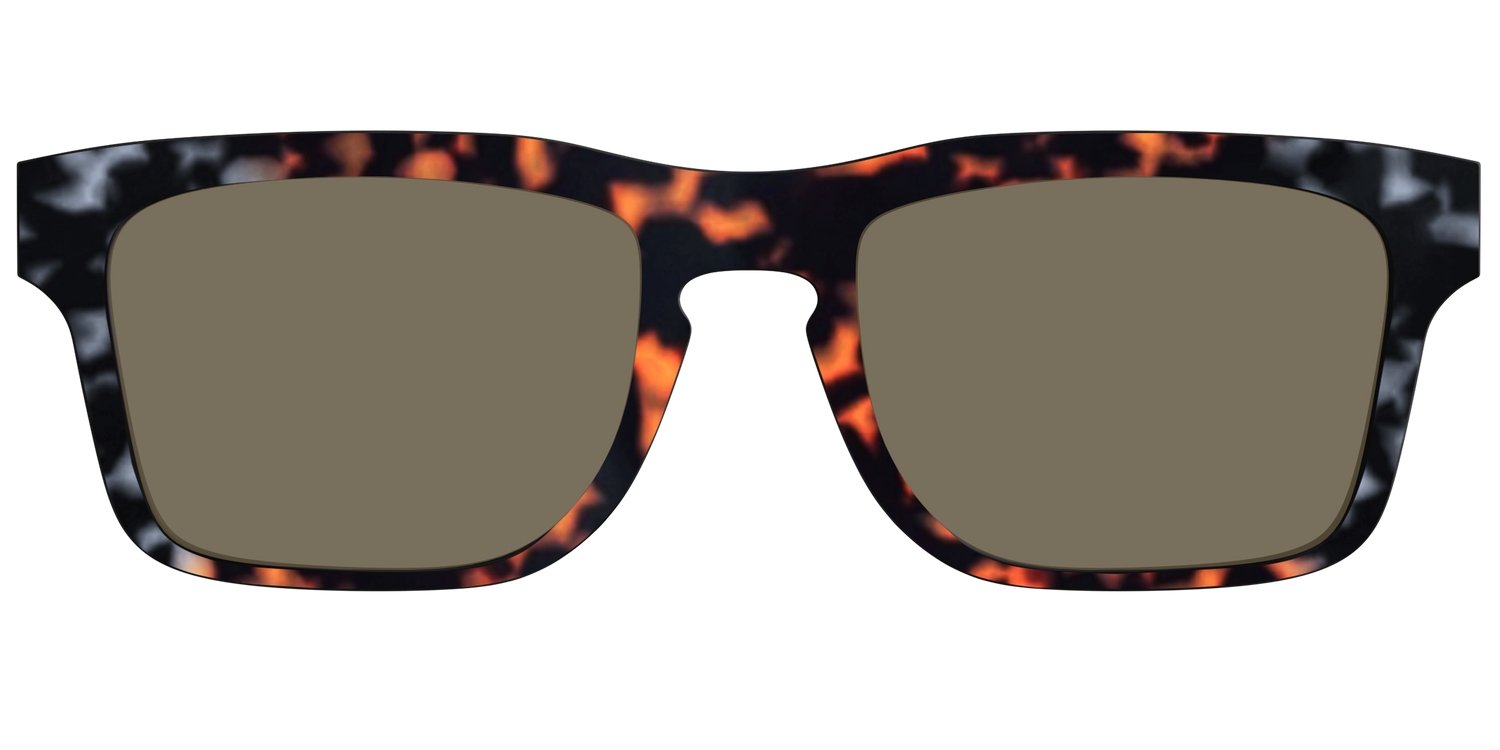 The Polarized Gray & Amber Tortoise Sun Top - Front Top Image - Pair Eyewear